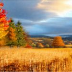 Can Bladder Flares Be Seasonal?