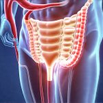 Can bladder retraining actually restore normal function?