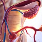 Can cystitis be part of a larger pain syndrome like fibromyalgia?