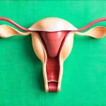 Can cystitis symptoms worsen around ovulation and why?