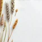 Clothing Materials That Are Bladder-Friendly