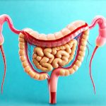 Cystitis and Gut Health: What’s the Connection?