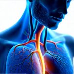 What’s the link between nervous system health and cystitis?
