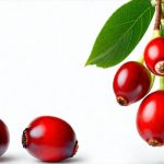 Why cranberry doesn’t work for everyone with UTIs