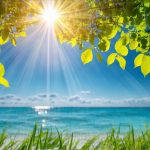 Natural Sun Exposure Breaks That Boost Vitamin D And Support Hormonal Urinary Health